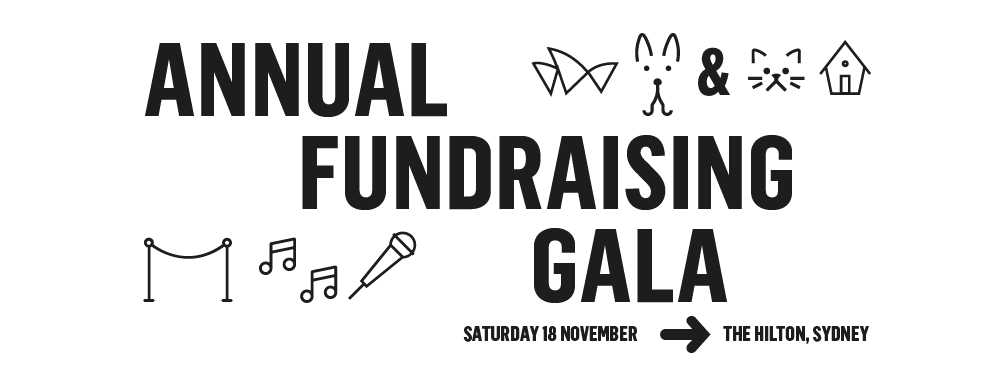 Gala Website Banner