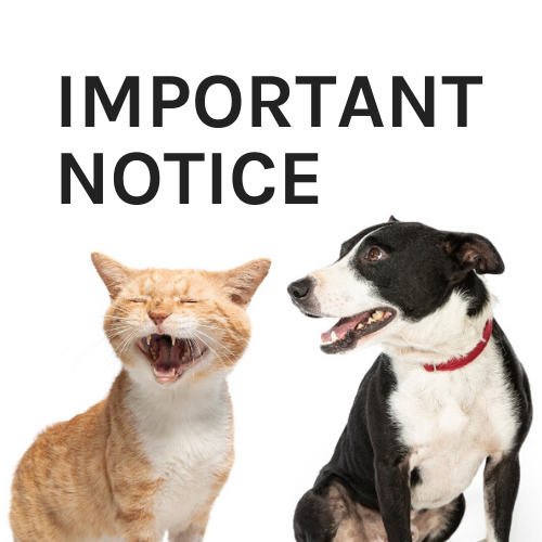 Important Notice