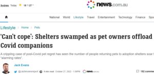 Story in news.com Shelters swamped as pet owners offload Covid companions